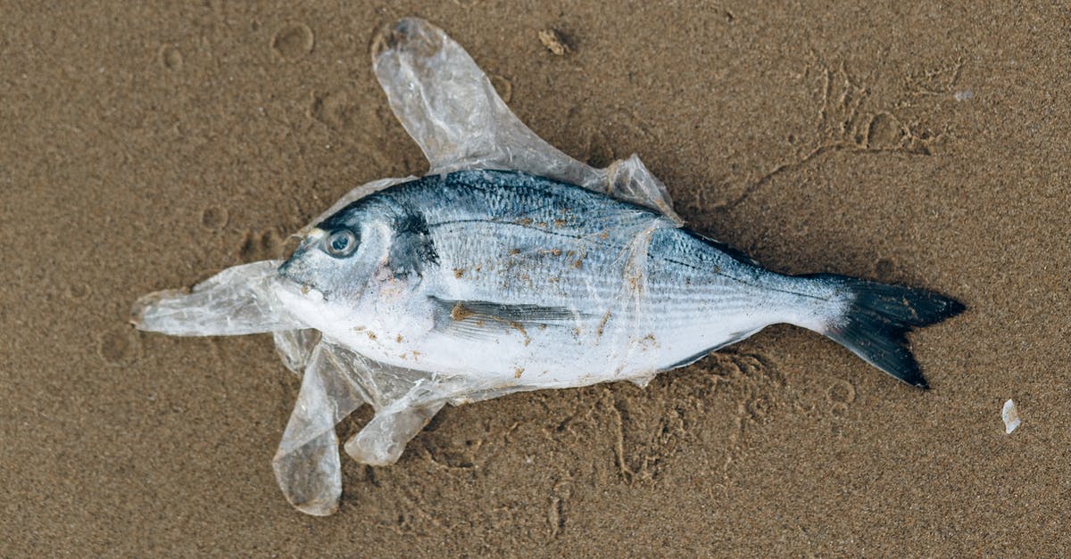 Does nuking ocean bases cause pollution? - Gray Fish in a Plastic Glove on Gray Sand