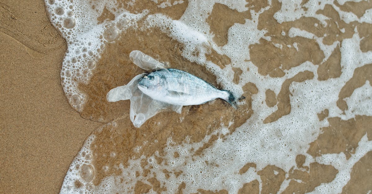 Does nuking ocean bases cause pollution? - Fish in a Clear Plastic By the Seashore