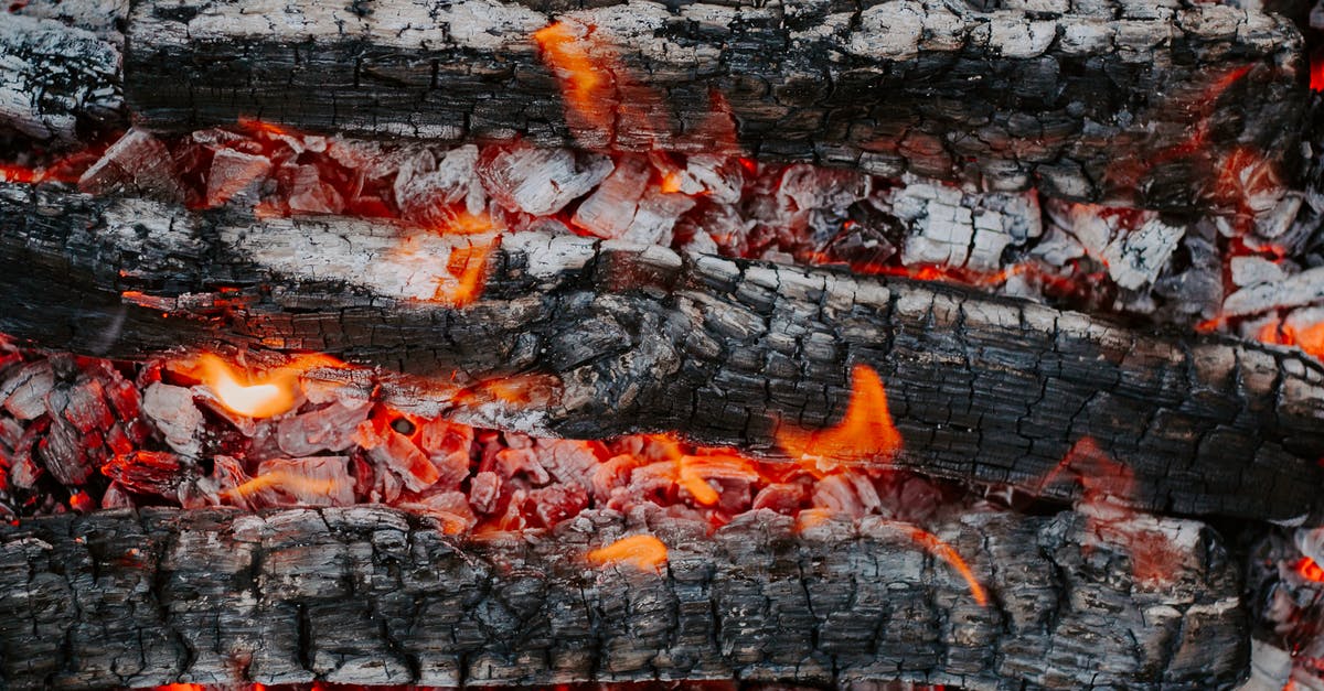 Does the Double Tap perk from Zombies make rapid fire useless? - Top view of textured backdrop representing cut tree trunks with rough surface burning in bright fire in daytime