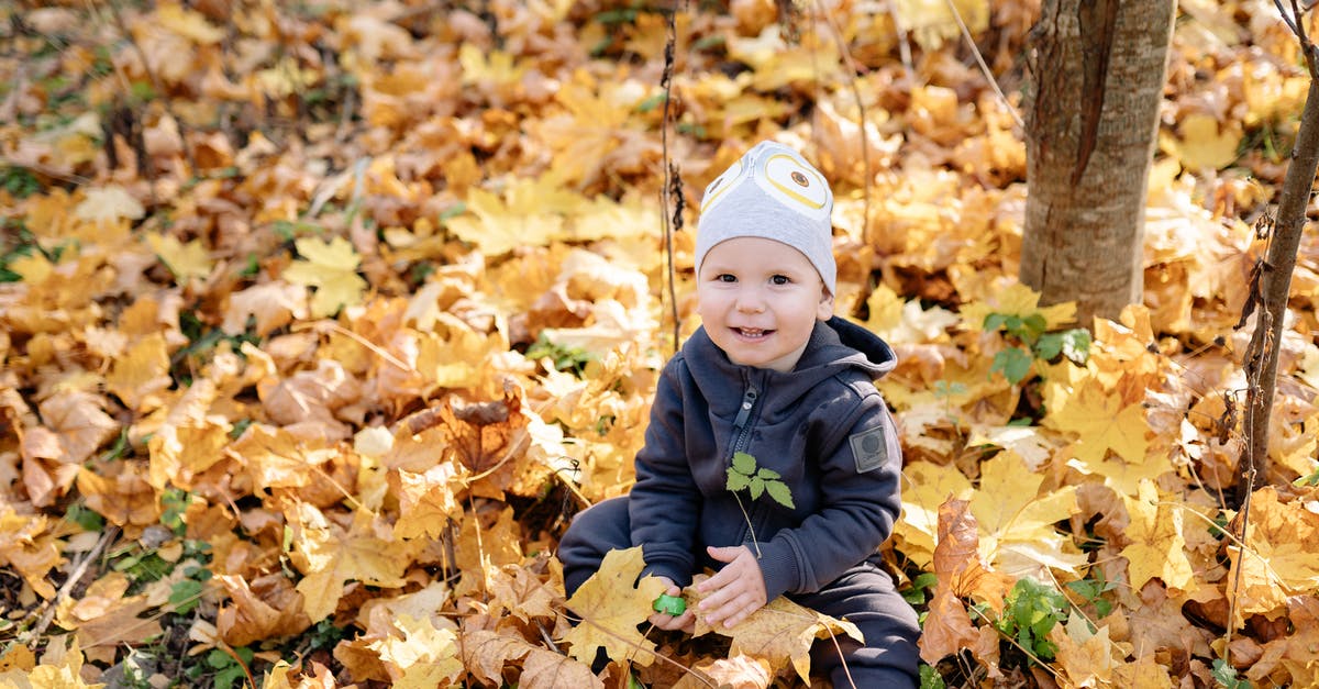 Does unenchanted armor reduce your fall damage? - Boy in Blue Jacket Sitting on Dried Leaves