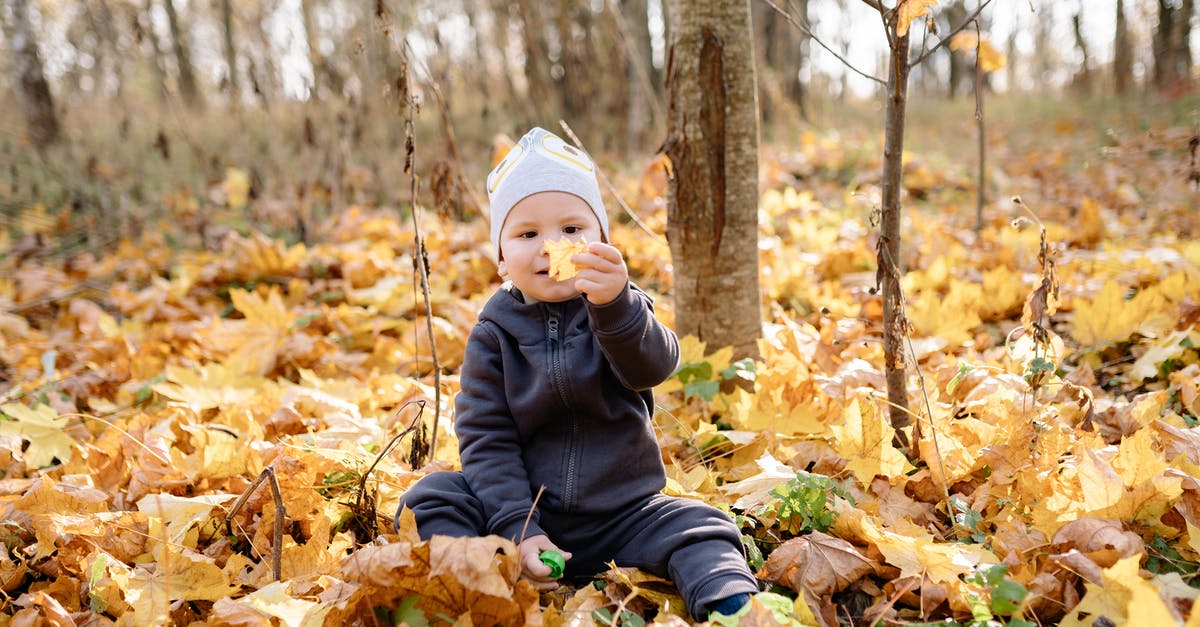 Does unenchanted armor reduce your fall damage? - A Baby Holding a Yellow Leaf 