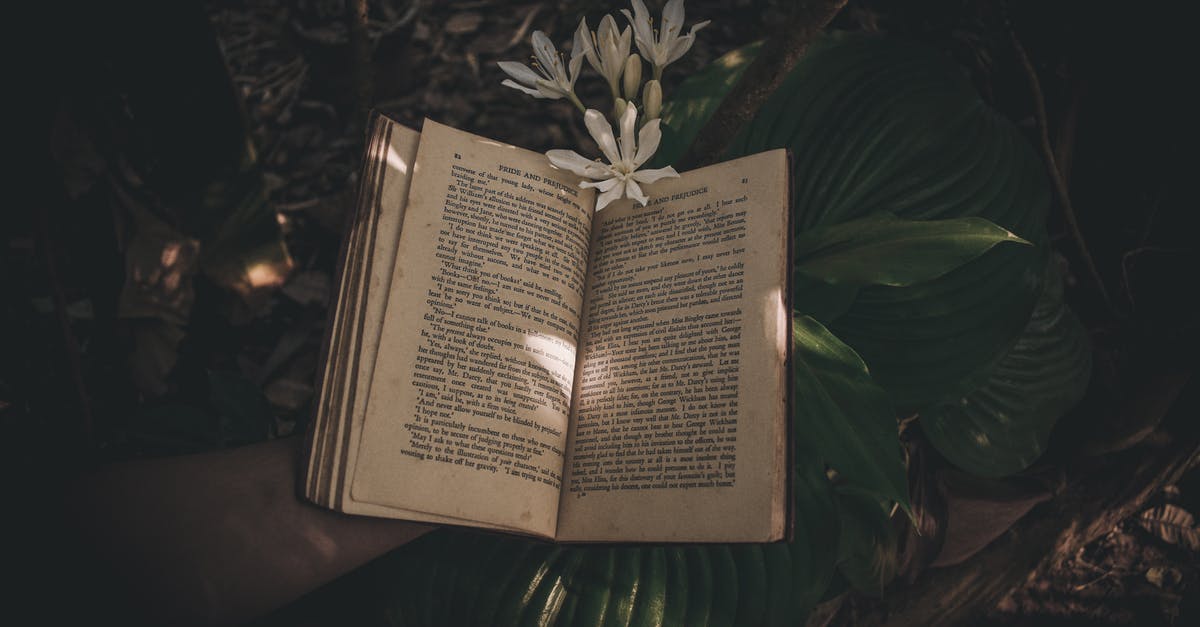 Dynamax Adventures - shiny odds connected to story completion? - Crop person with opened book near fresh flowers in shadow in sunny summer day