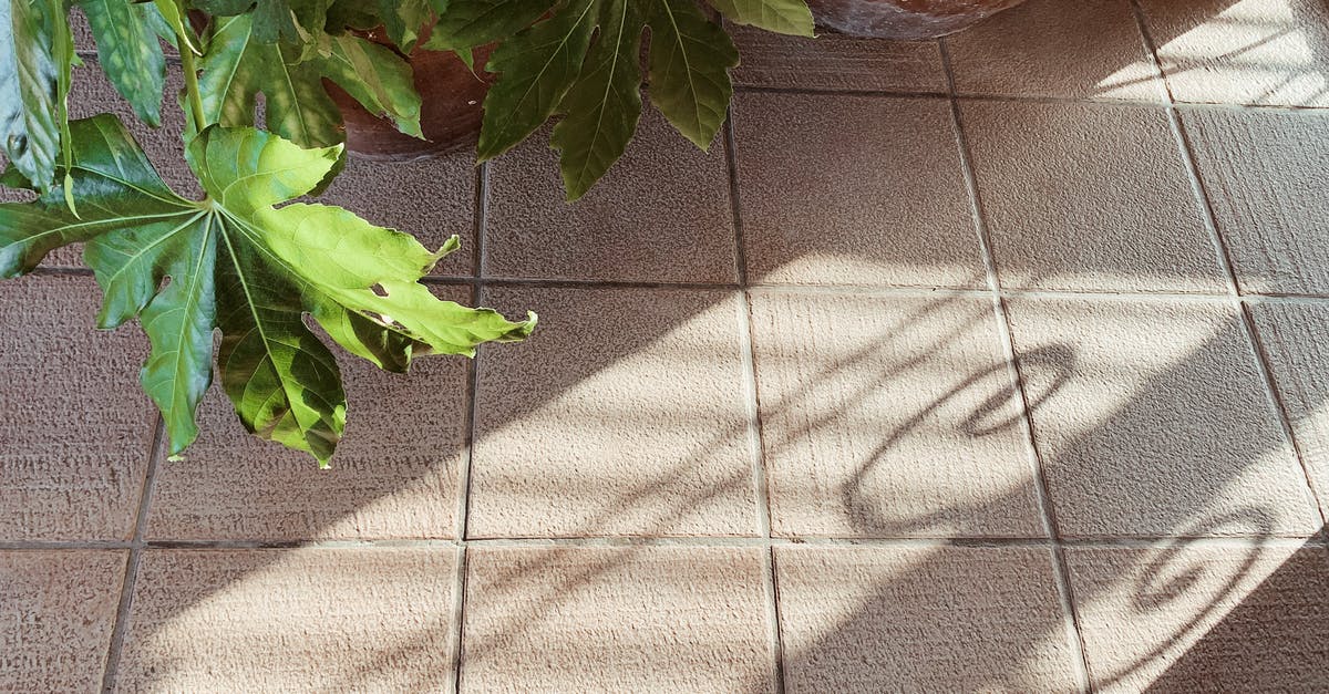 Edge tile Bug in Dwarf Fortress - Tiled floor with potted plant and shadow