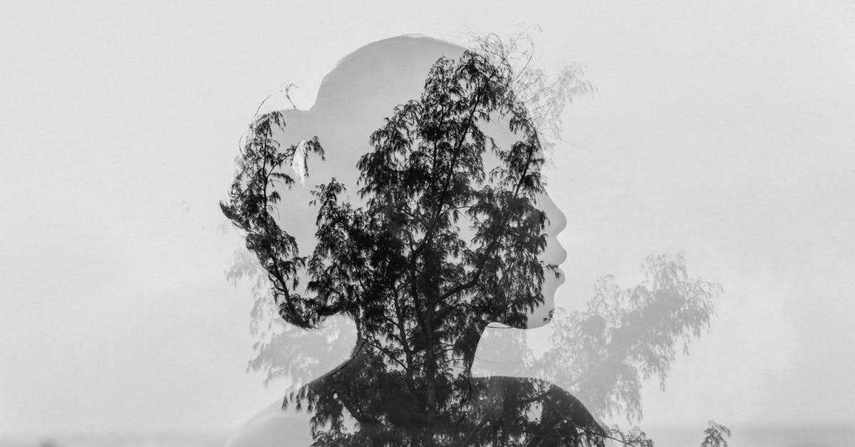 endless legend no watchtowers - Silhouette of Asian woman behind tree branch near endless ocean