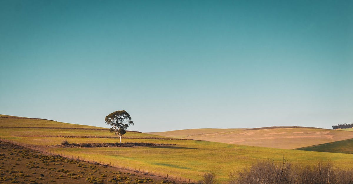 Eu4 How to specify province in province events? - Photo of a Tree in a Green Field