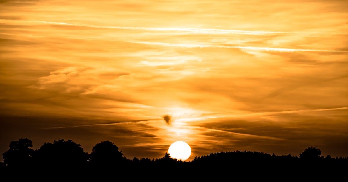 Golden Apple Archipelago, are you under the same sky? - Silhouette Photography of Trees