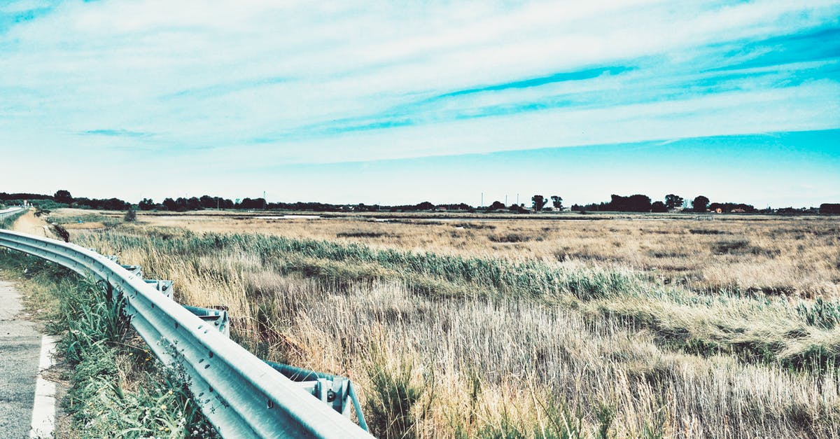 Guards attacking on sight in Nashkel - Photo of Road Railing Near Grasses