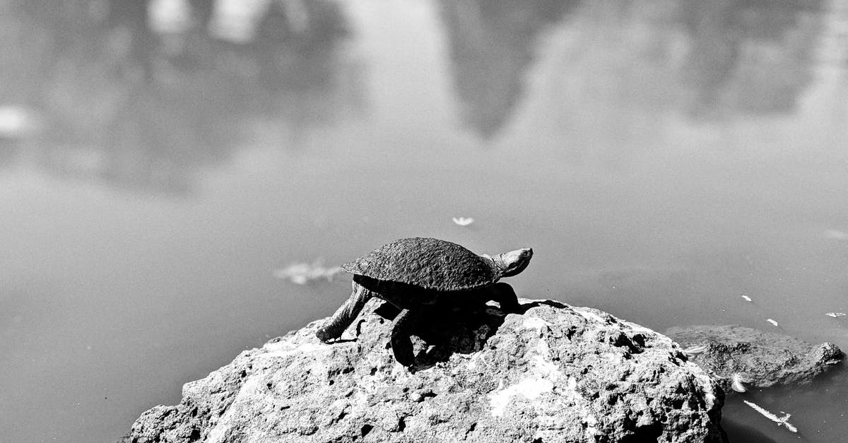 Half Life 2, Episode 1 starts running slow in-game - A Tortoise On A  Rock