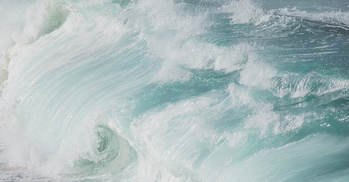 Hearthstone keeps crashing on Lutris on Ubuntu - A Close-up Shot of Sea Waves