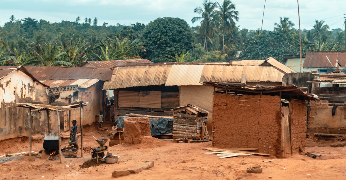 Homeless people, but multiple vacant houses - Brown Wooden Houses Near Green Trees