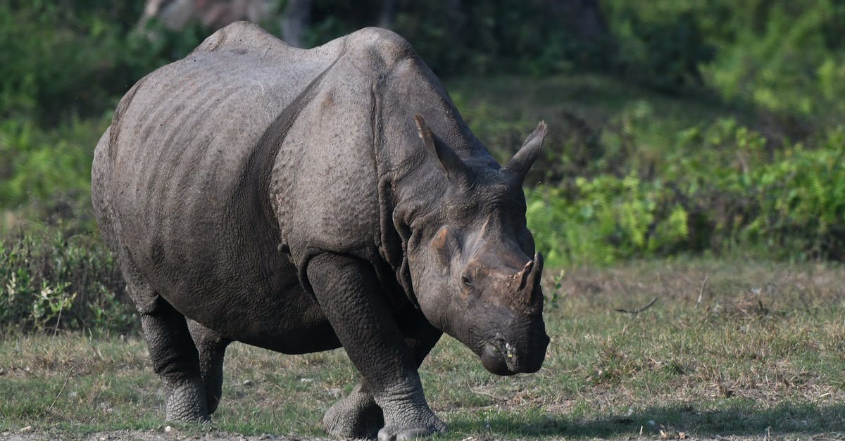 HoMM 3 Horn of the Abyss - Brown Rhinoceros on Brown Soil