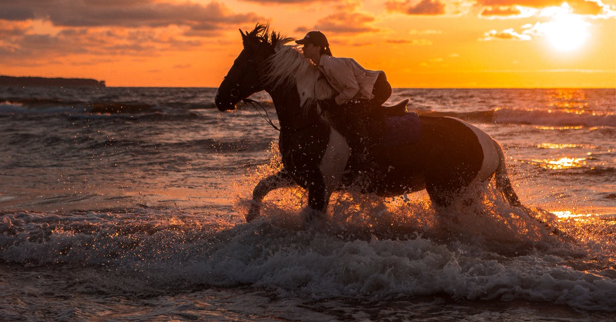 Horse Riding Combat - Equestrian riding a Horse on Seashore during Sunset 