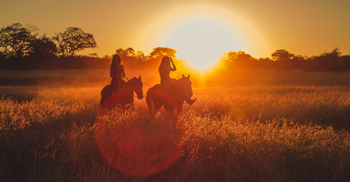 Horse Riding Combat - Silhouette Photo of Two Persons Riding Horses