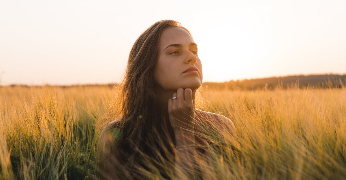 How can I make an automatic wheat/potato/carrot/beetroot farm? [closed] - Woman in Black Shirt Standing on Green Grass Field