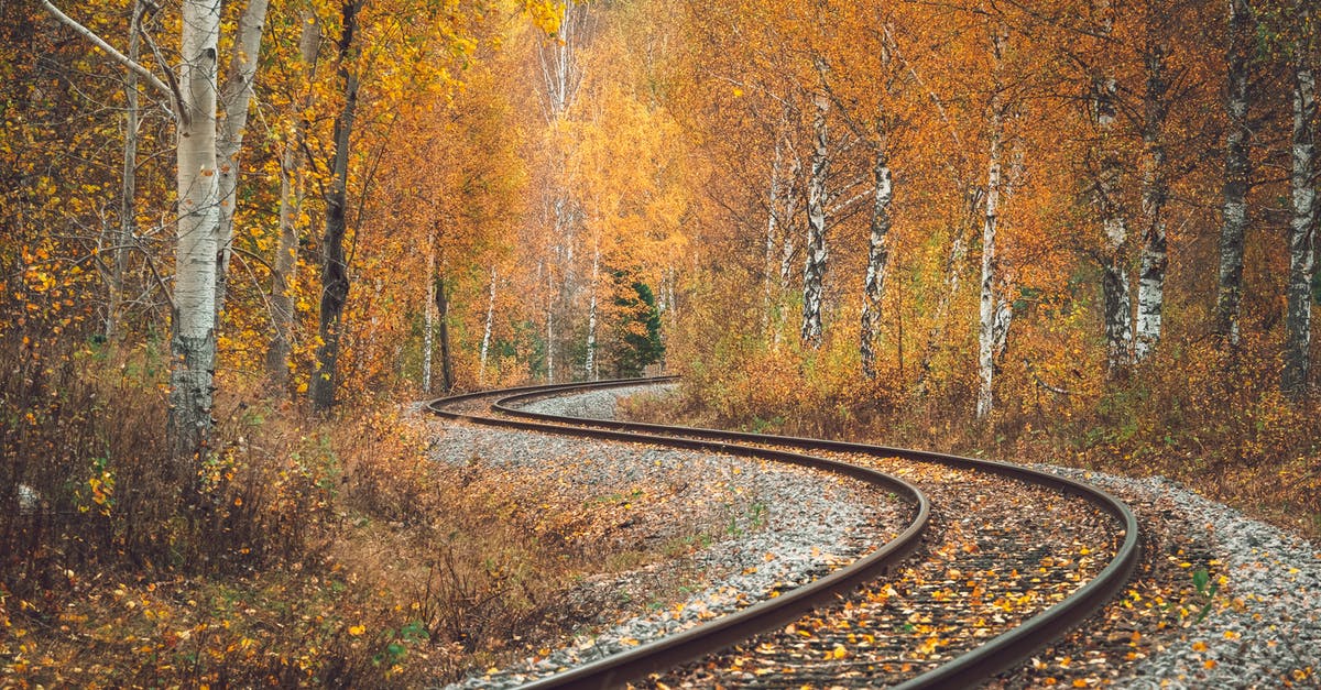 How can I run Maniac Mansion through ScummVM? - Railroad Tracks Running Through Autumn Birch Forest