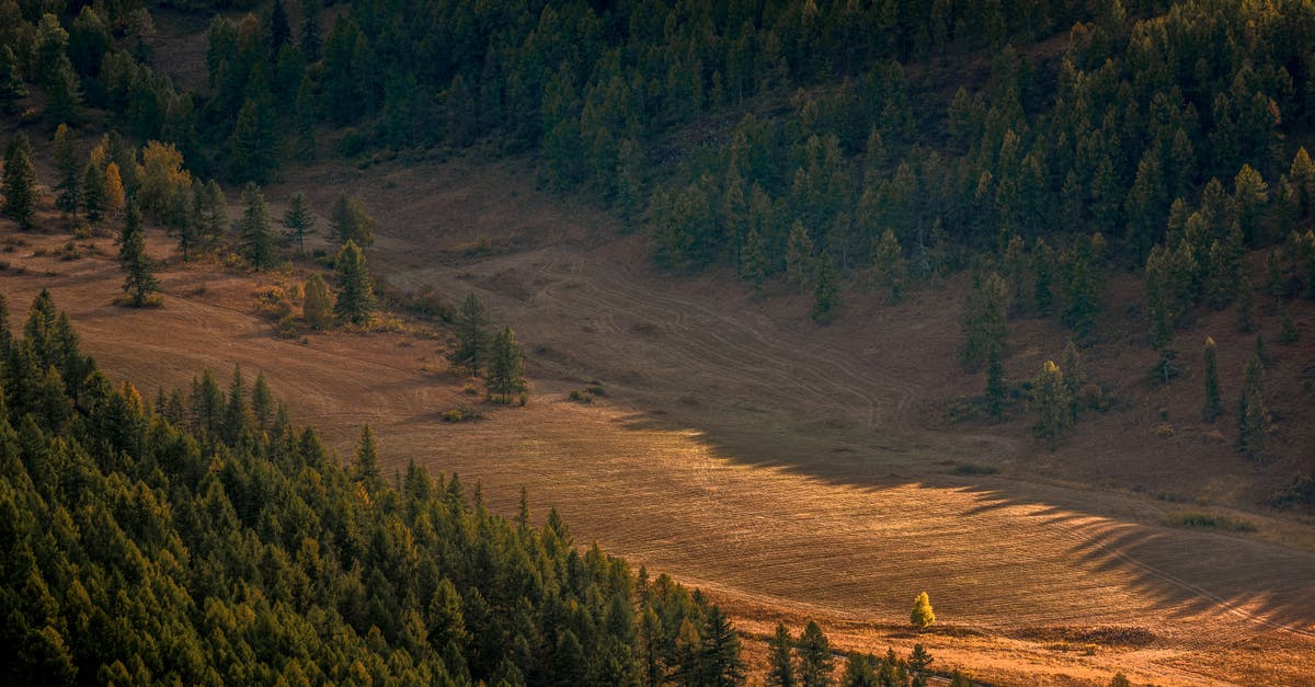 How can I sync Stardew Valley between Xbox One and PC? - View on Wide Deforested Valley Between Forested Slopes of Mountain