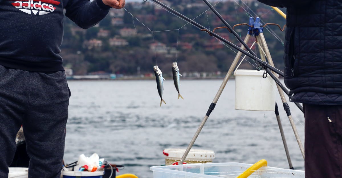 How did I get two anglers? - Man in Black Jacket Holding Fishing Rod