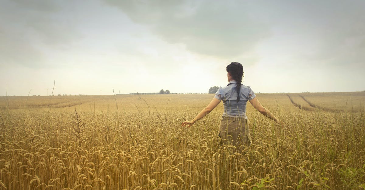 How do I change cloud nine back to mr.cuddles? - Woman Standing on Rice Field during Cloudy Day