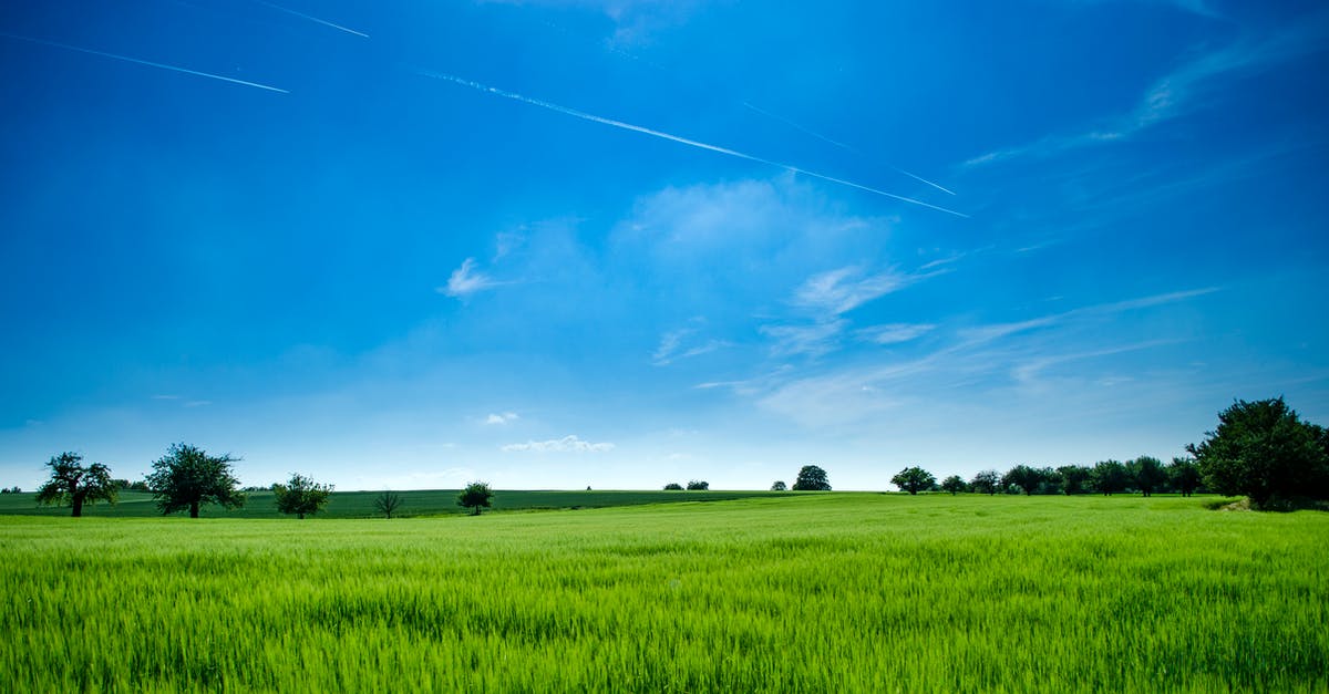 How do I claim land in Lichcraft? - Panoramic Photography of Green Field