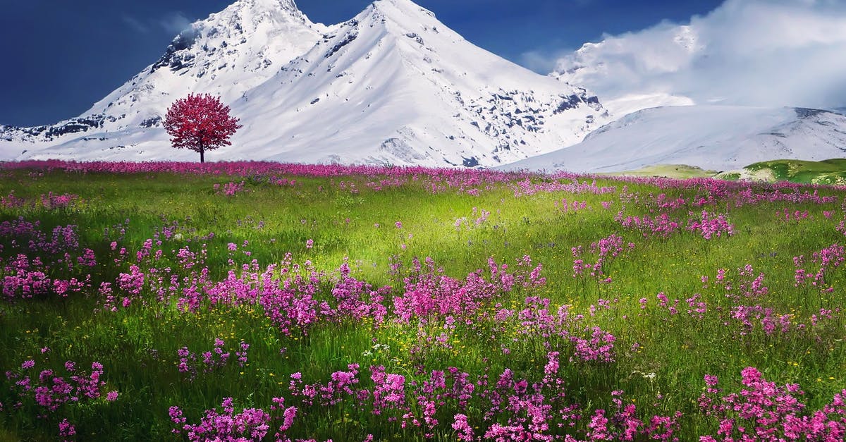 How do I claim land in Lichcraft? - Pink Flowers Near Mountain Covered by Snow