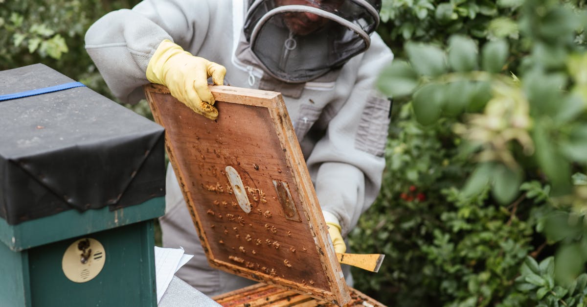 How do I collect a bounty in Elite: Dangerous? - Crop man harvesting honey in countryside area