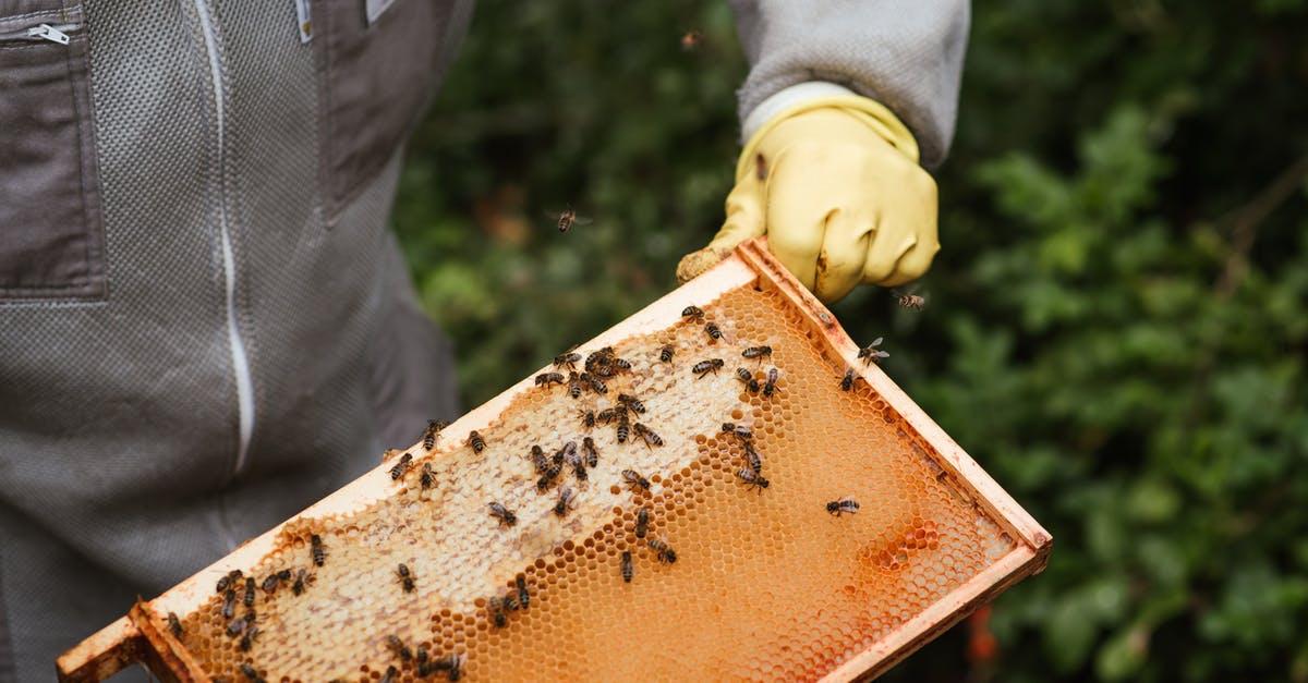 How do I collect a bounty in Elite: Dangerous? - Crop unrecognizable farmer in protective gloves holding honeycomb with bees and honey while working in apiary