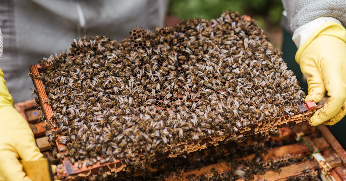 How do I collect a bounty in Elite: Dangerous? - Crop unrecognizable farmer in protective gloves demonstrating honeycomb with flock of bees while standing near beehive