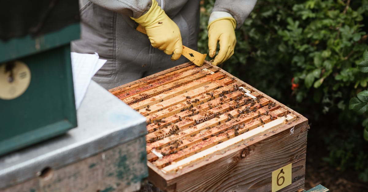 How do I collect a bounty in Elite: Dangerous? - Crop faceless farmer in protective gloves standing near wooden hive while harvesting fresh honey