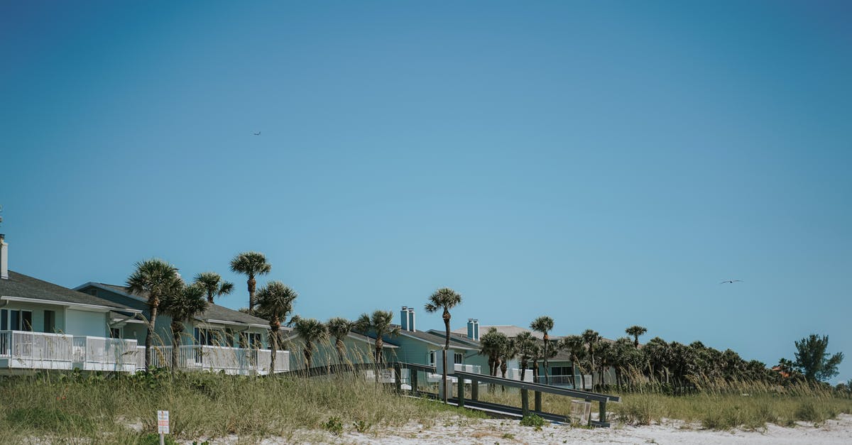 How do I copy/paste a command on mac? - Green Trees on White Sand Under Blue Sky