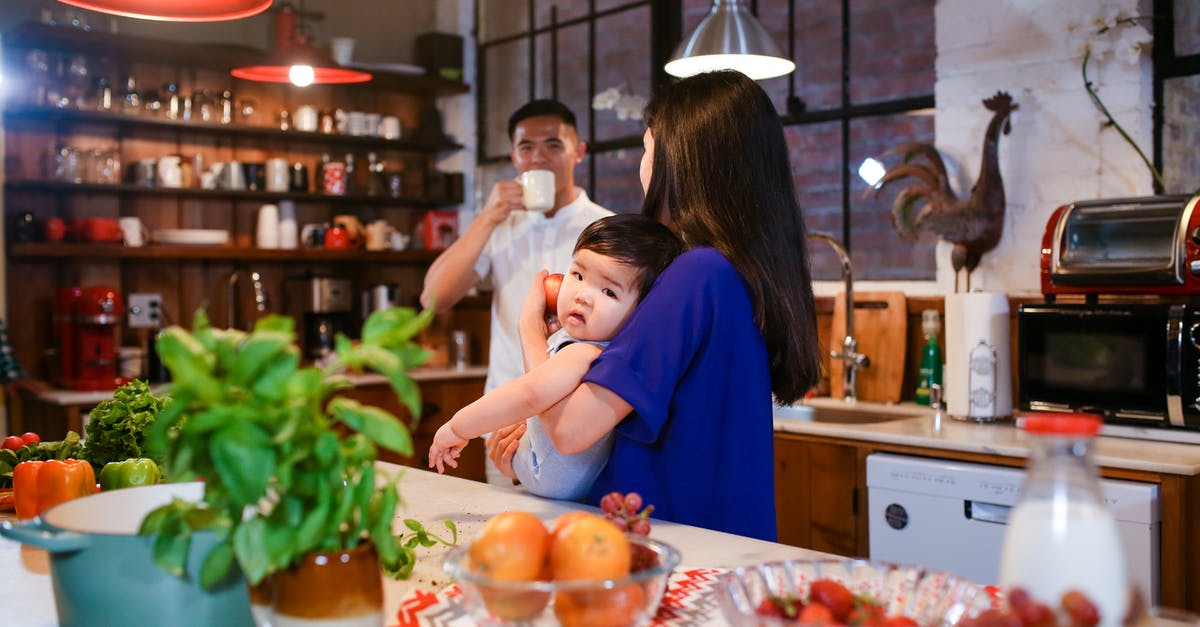 How do I counter a baby dragon? - Woman in Blue Shirt Carrying a Child beside White Kitchen Counter