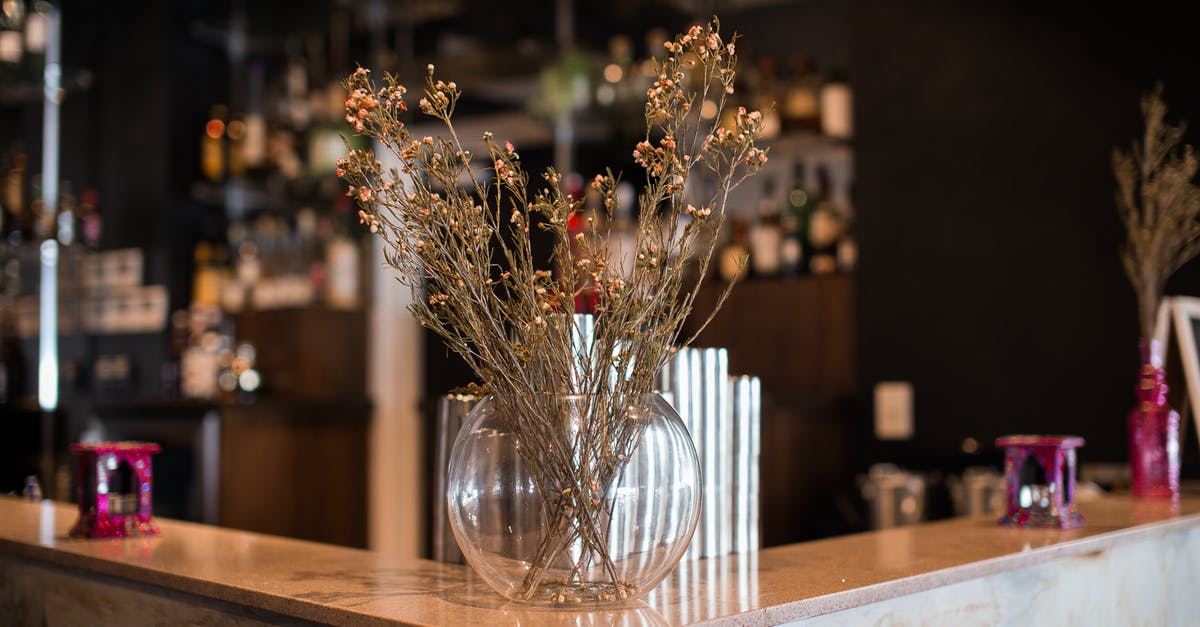 How do I counter a baby dragon? - Dried Baby's-Breath Flowers in Clear Round Glass Vase 