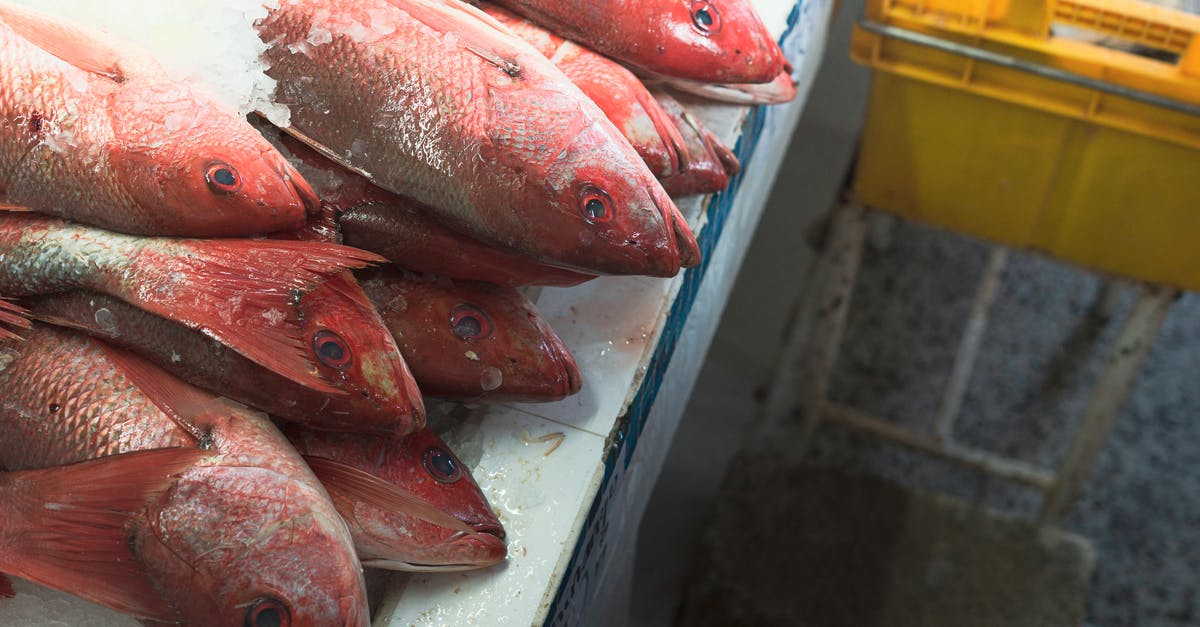 How do I counter the frozen floors? - Close up on Frozen Fish on Counter