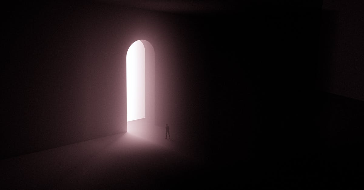 How do I enter codes on the iOS version of Fez? - Silhouette of Person Standing Near A Doorway With Bright Light 