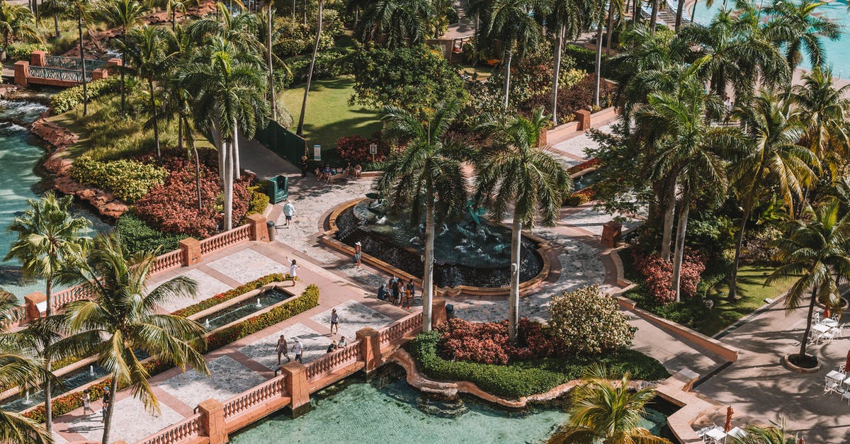 How do I get to nassau without any glitches occurring? - Aerial Photo of Palm Trees