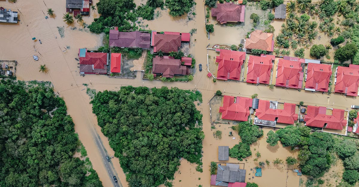 How do I make a city recover from a disastrous flood? - Overhead view of colorful roofs of residential buildings and lush green trees in flooded small village