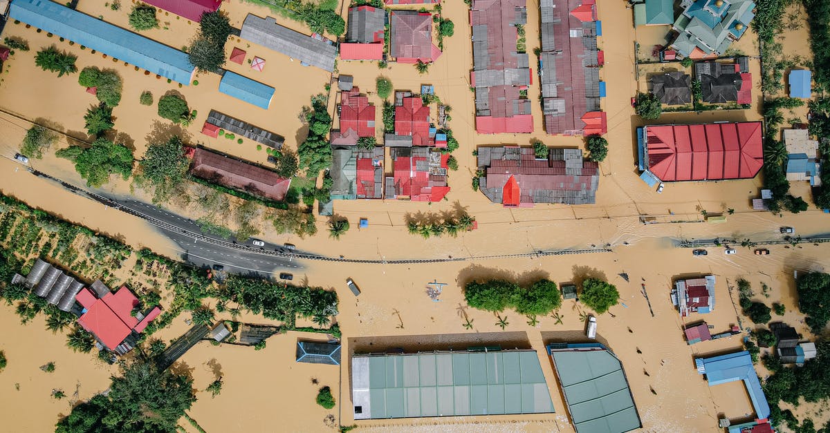 How do I make a city recover from a disastrous flood? - Residential houses and green trees in flooded village