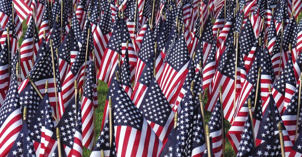 How do I make a nation my protectorate? - Us a Flags on Brown Wooden Pole