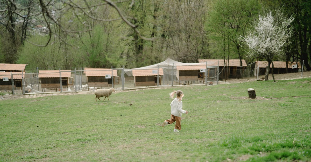 How do I make people stop running with a command? - Girl Running in the Field