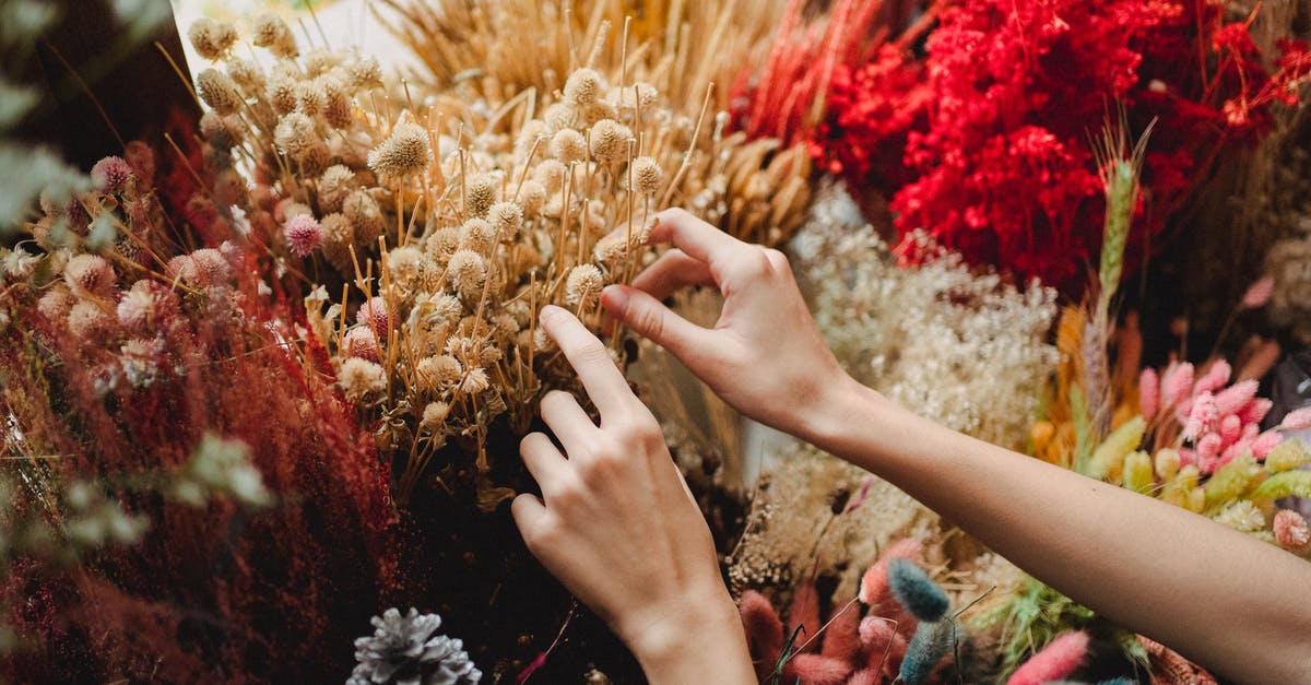 How do I take the bomb flower to Dodongo's Cave? - Crop faceless woman picking flowers from assorted bouquet decorative elements