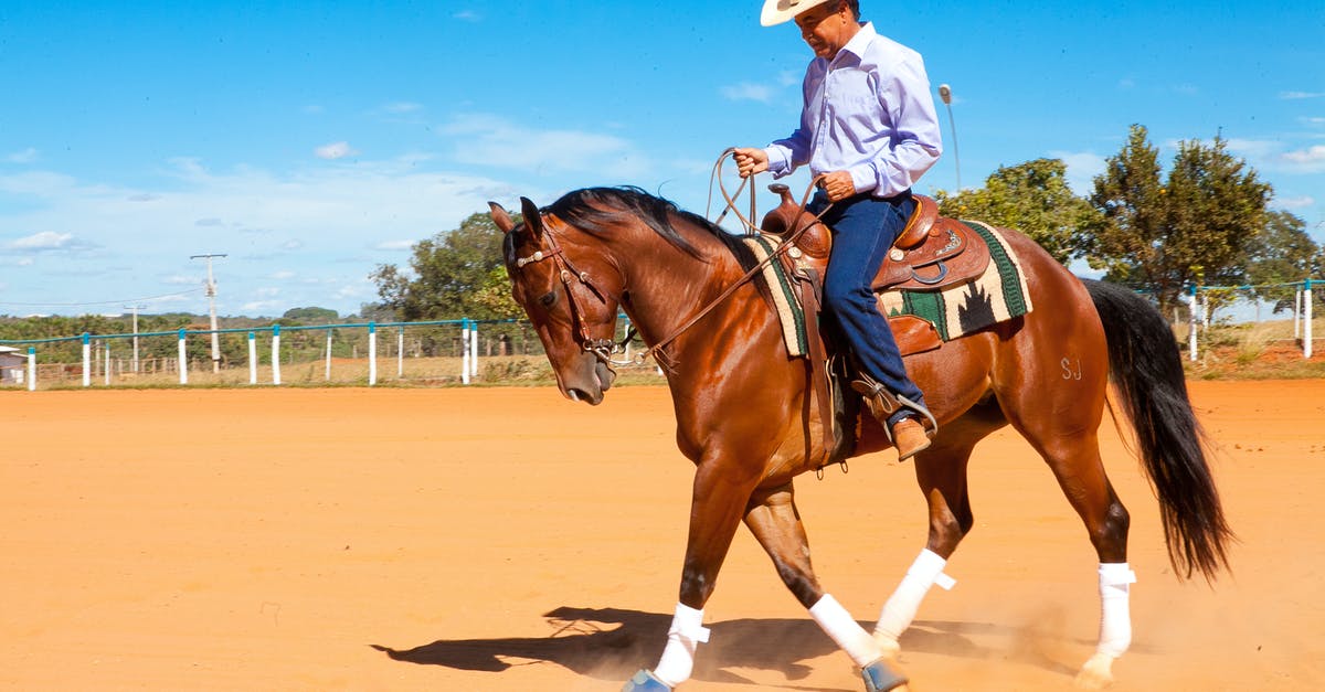 How do I tame a zombie horse? - A Man Riding Brown Horse