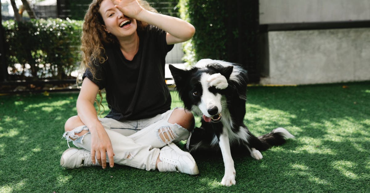 How do I tame a zombie horse? - Cheerful female covering eye while sitting with crossed legs against purebred dog and looking at camera on meadow in sunlight