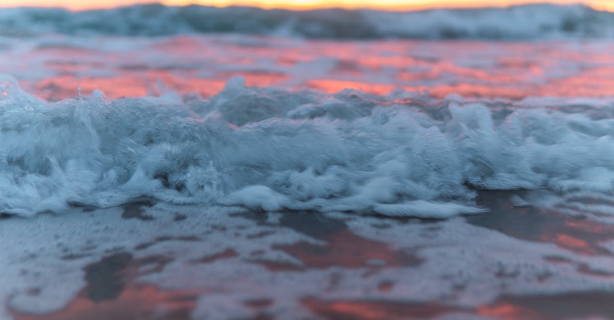 How do I view my XP / level progression? - Foamy waves of sea rolling on shore against sundown sky