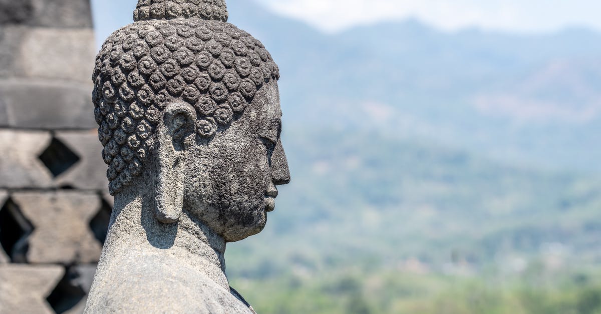 How do powerups and pickups stack up in Temple Run 2? - Photo of a Buddha Statue