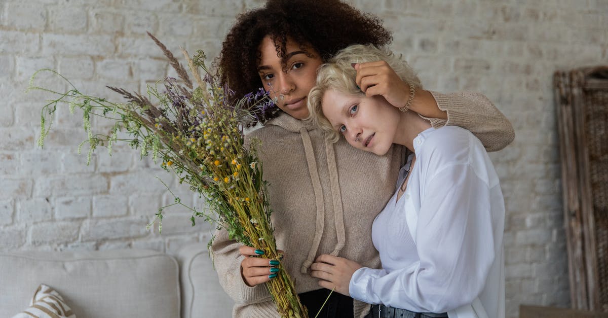 How do you attract different cats? - Multiracial women hugging in cozy room