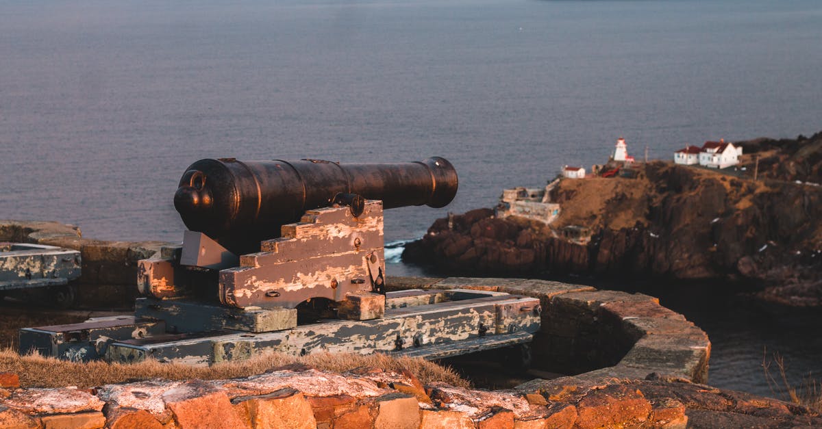 How do you protect your cob cannons in Survival Endless? - Blue sky over rocky shore of big endless bay and long black old cannon surrounded by brick curb