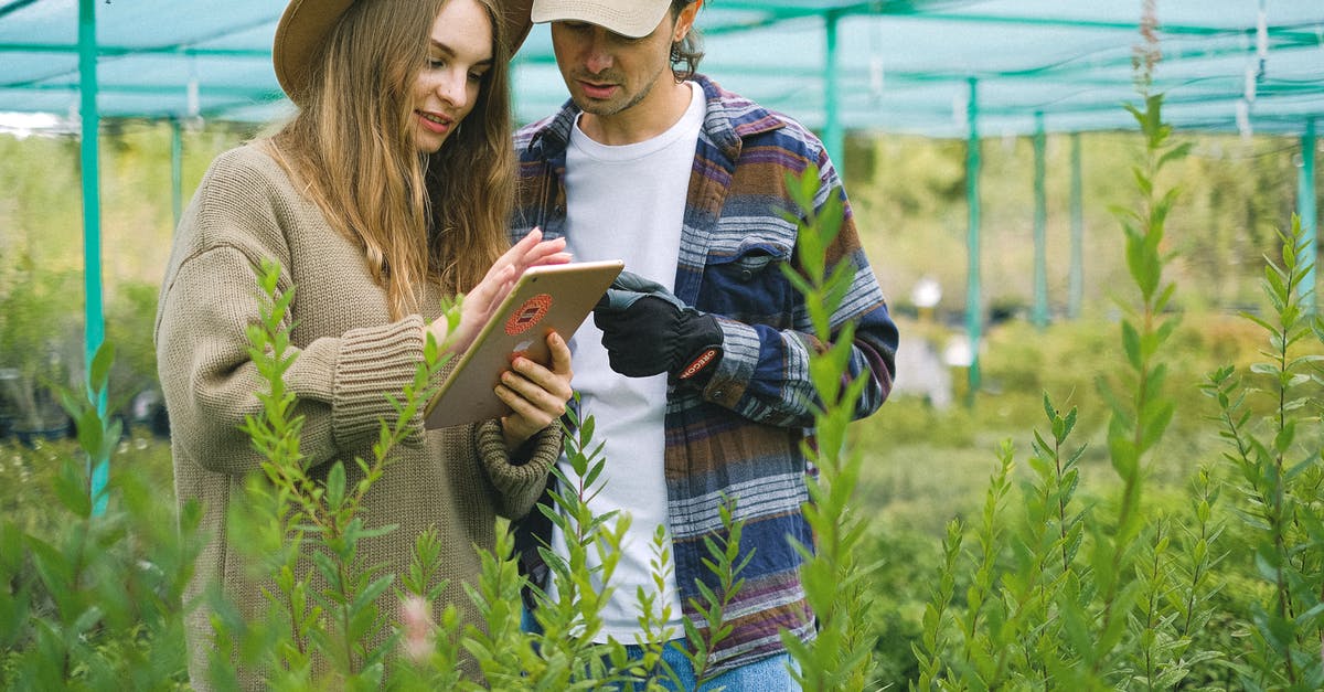 How does Find Traps work? - Focused couple searching information in farm