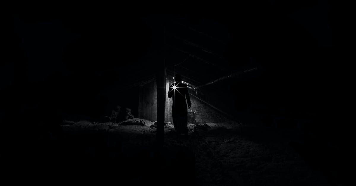 How does Find Traps work? - Low Angle View of Man Standing at Night