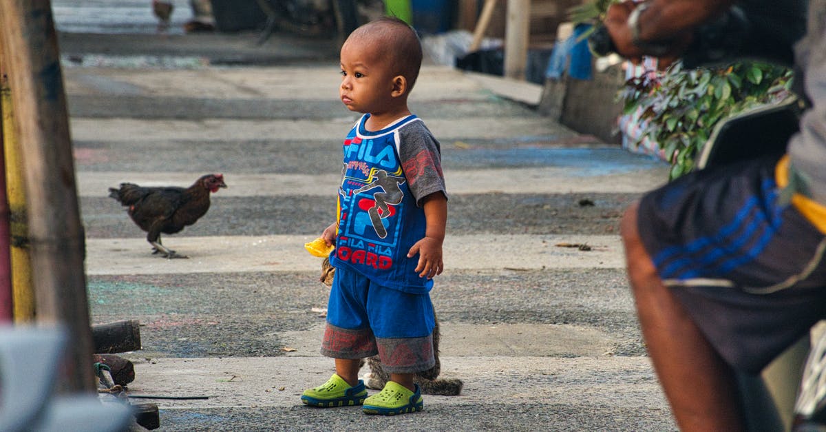 How Does One Get the "Road to 80" Buff? - Boy Standing Beside Cat on Roadside