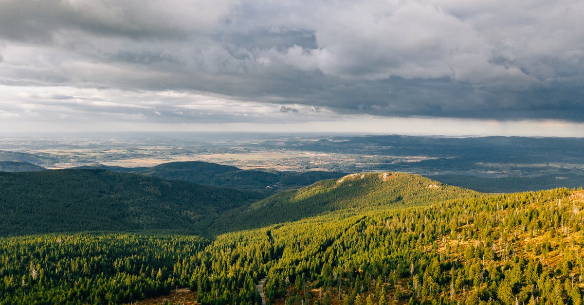 How far does Aimee's SNITCH detect enemies? - Aerial Photography of Forest Under Cloudy Sky