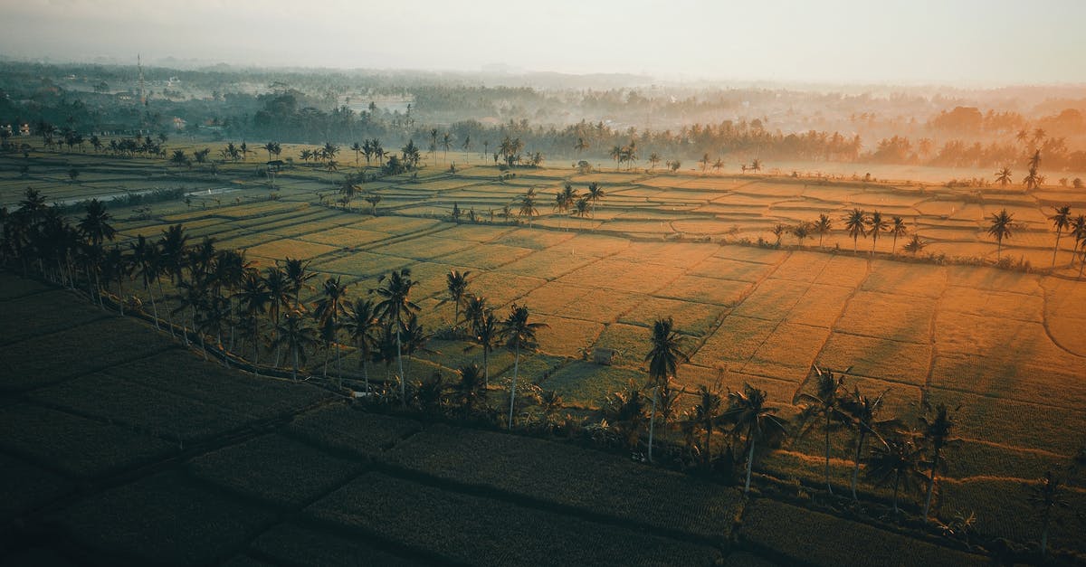 How far does Aimee's SNITCH detect enemies? - Aerial Photo of Farmland